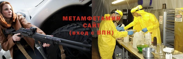 трава Белокуриха
