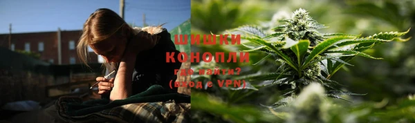 трава Белокуриха