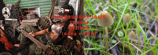 гидра Белоозёрский