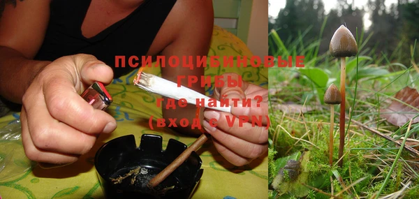 трава Белокуриха