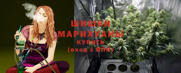 гидра Белоозёрский
