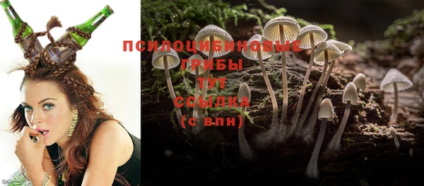 трава Белокуриха