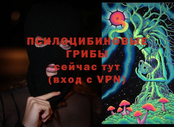 гидра Белоозёрский