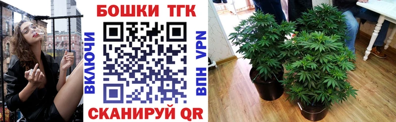 сайты даркнета телеграм  Воркута  Шишки марихуана марихуана 
